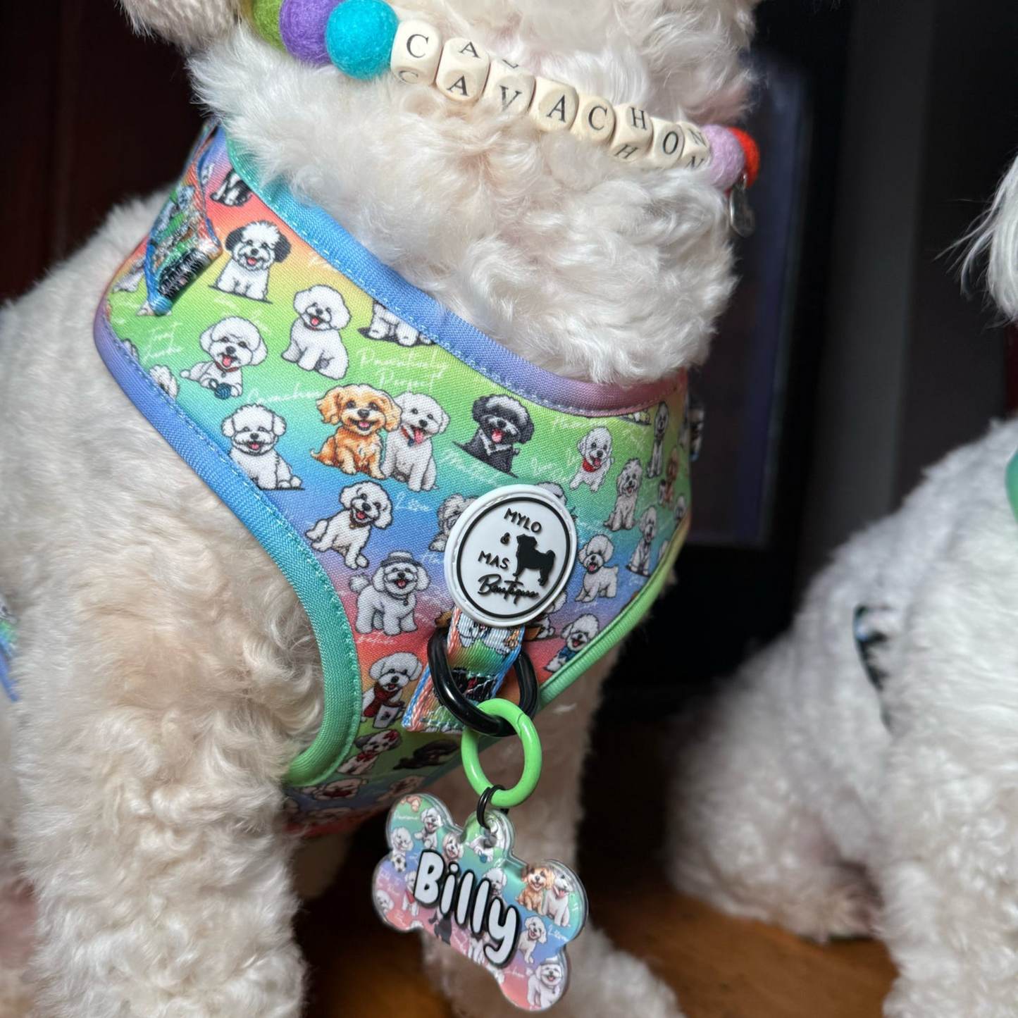 Dog Resin ID Tag - Oh My Bichon!