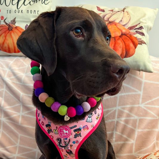 Dog Pom Pom Necklace - Hersheys
