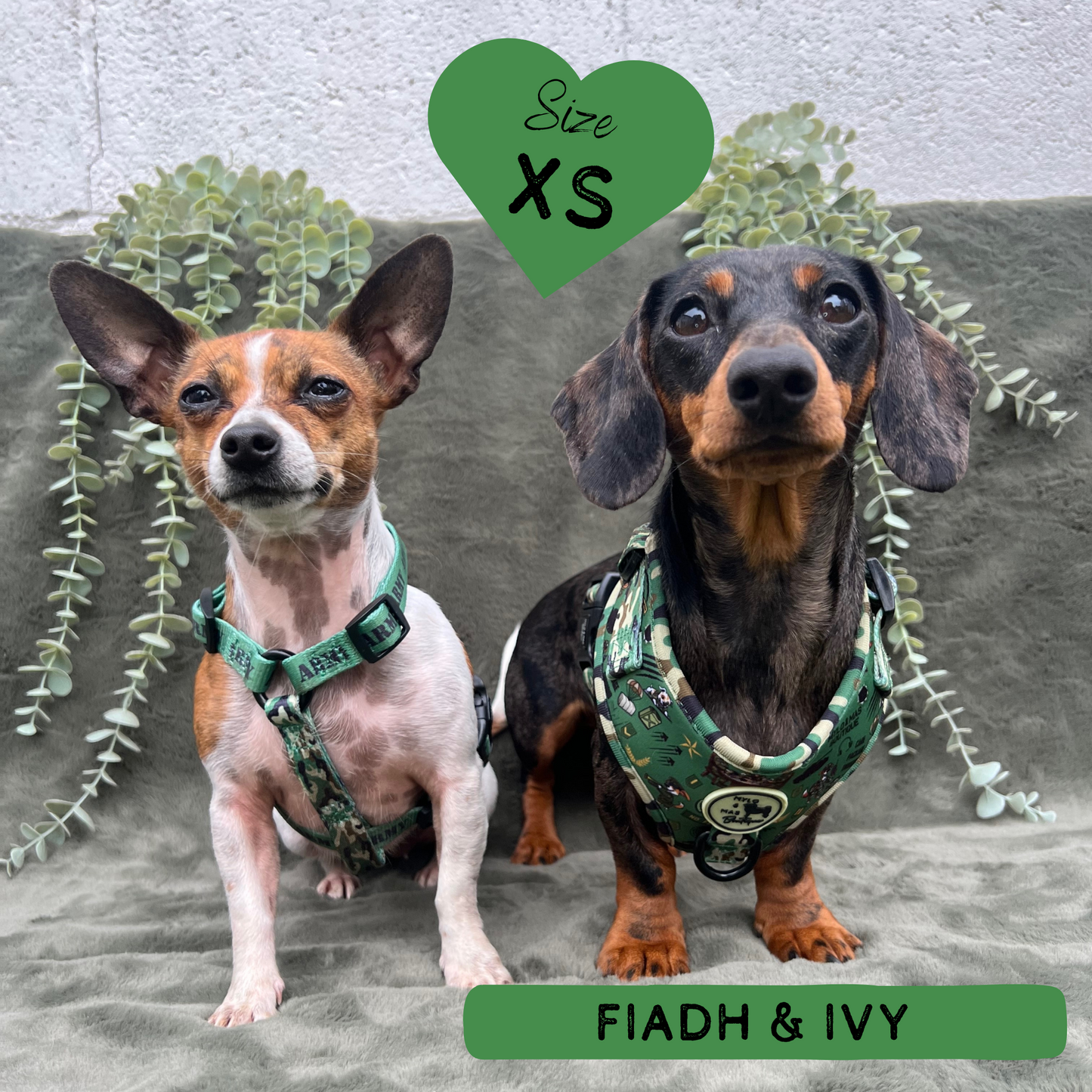 Dog Strap Harness - Supaw Trooper