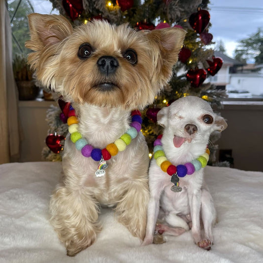 Dog Pom Pom Necklace - Matching BFF Necklaces