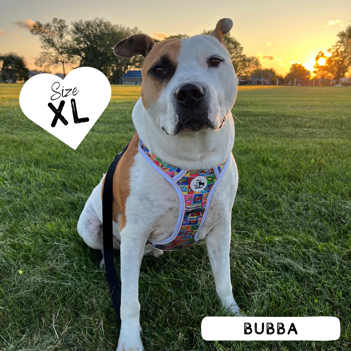 Mighty Hounds™ XL Dog Harness - Pawpow