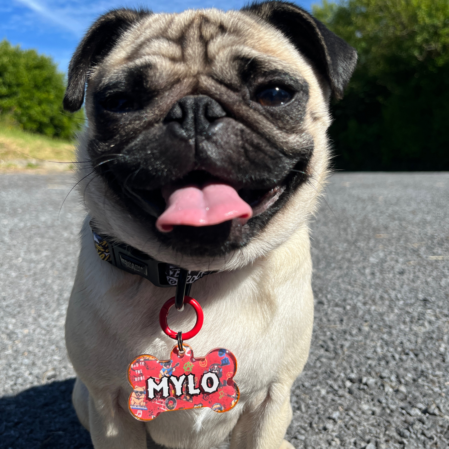 Dog Resin ID Tag - Bone Jovie