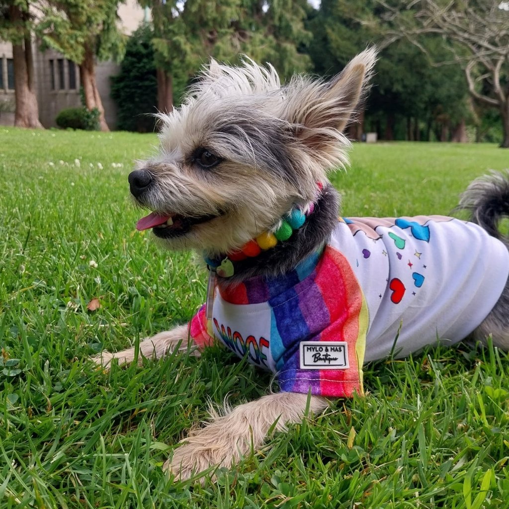 Dog Pom Pom Necklace - Rainbow