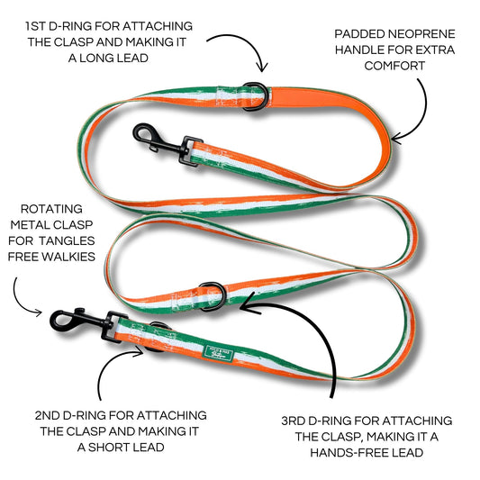 Multifunctional Dog Lead - Legends of Éire