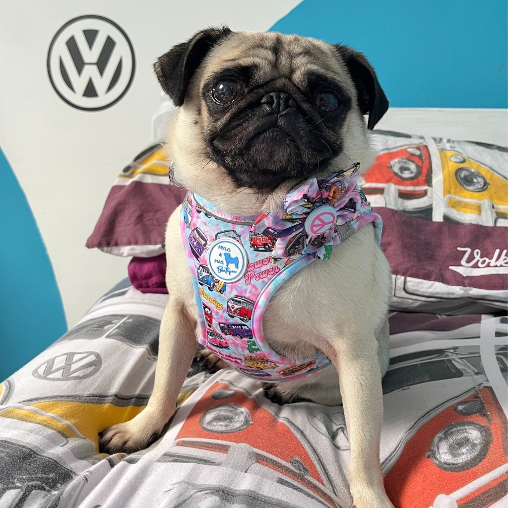 Dog Flower Bow - Hippie Van Life