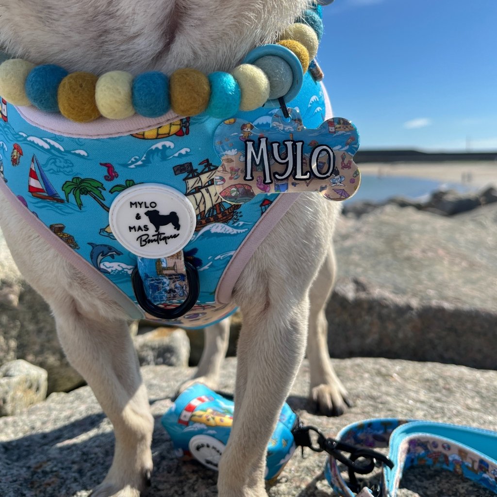 Close up of the Sun of a Beach collection on a pug - dog necklace, ID tag and harness size M.