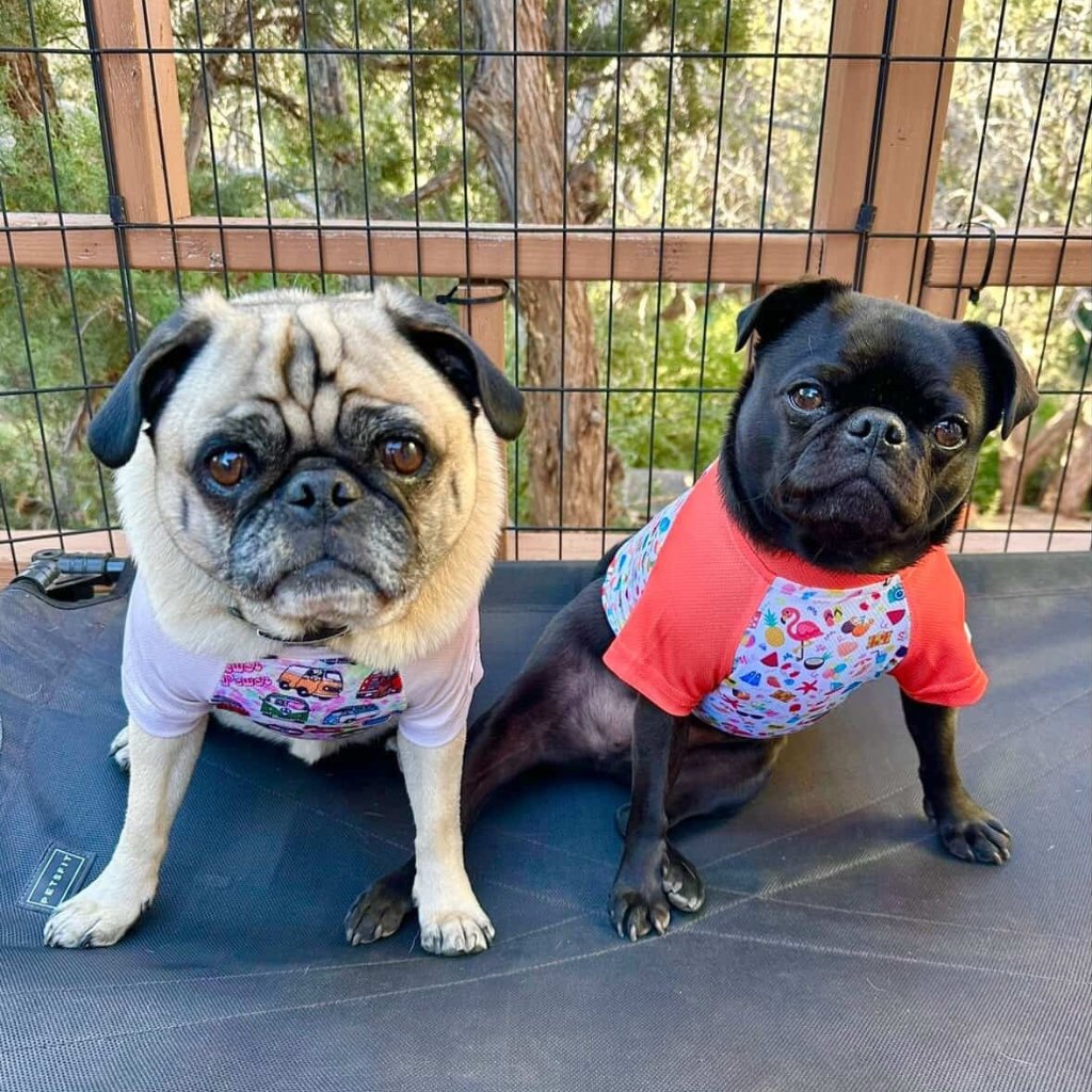 Dog Cooling T-shirt - Summer Soak