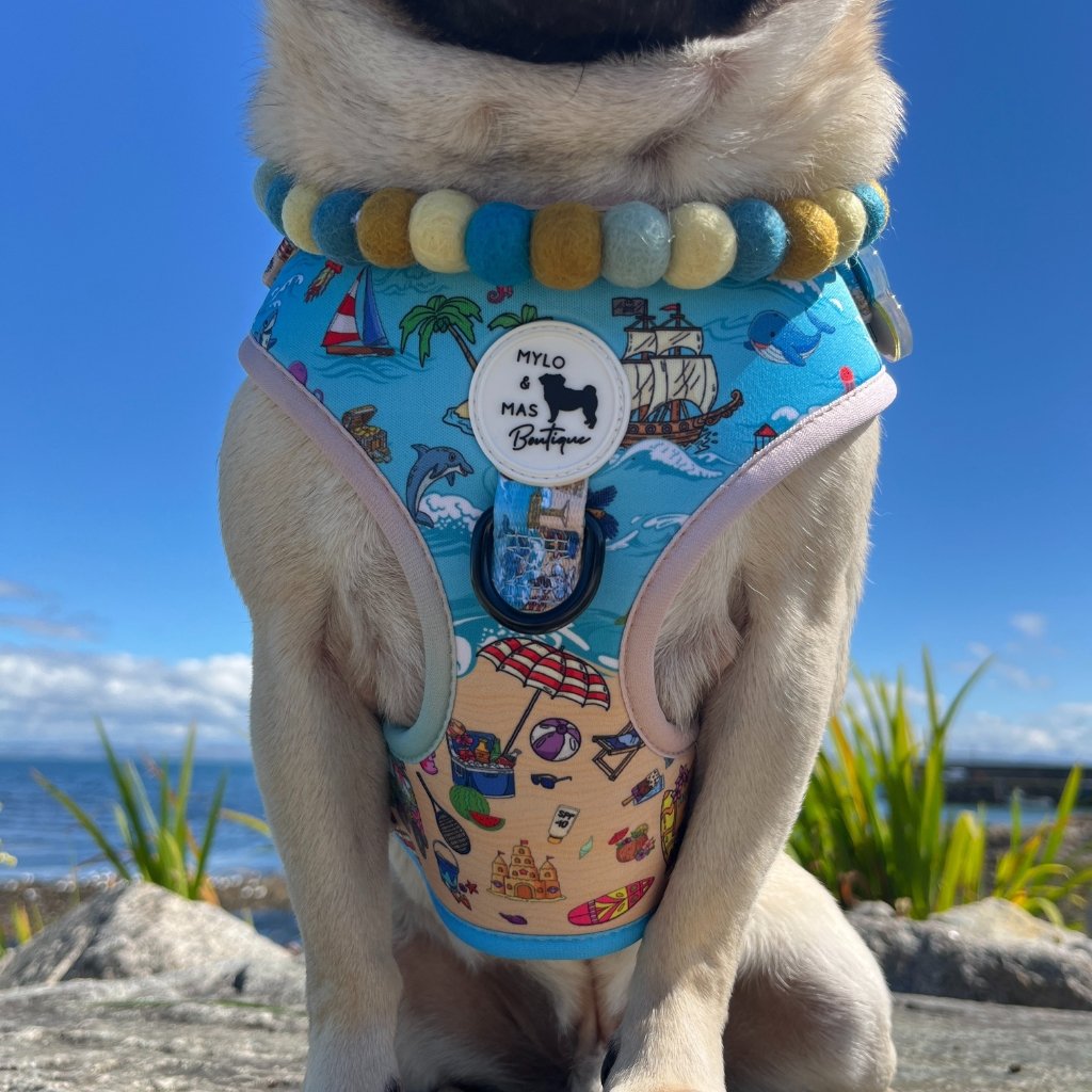 Close up of the Sun of a Beach dog harness featuring sea in the top part of the harness and sand/beach in the bottom part.