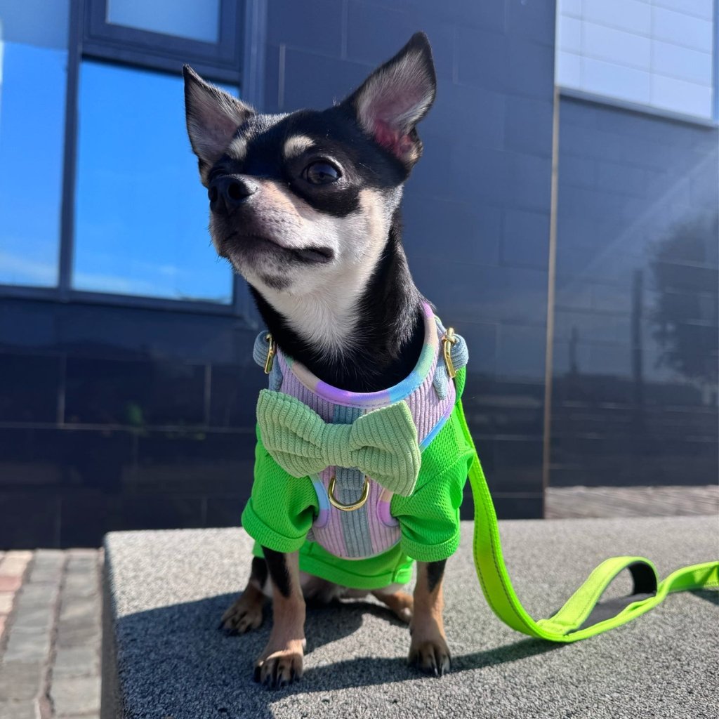 Dog Adjustable Harness - Cotton Candy Corduroy