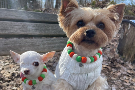 Pom Pom Necklaces: A Stylish Alternative to Dog Collars