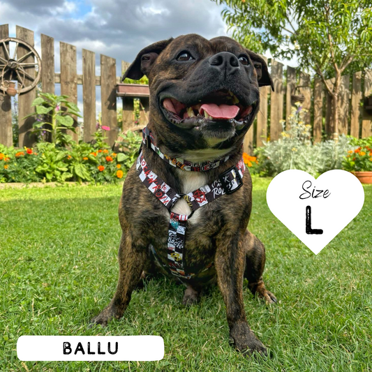 Dog Strap Harness - Bone Jovie