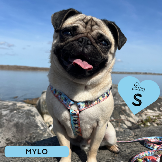Dog Strap Harness - Oh My Pug!