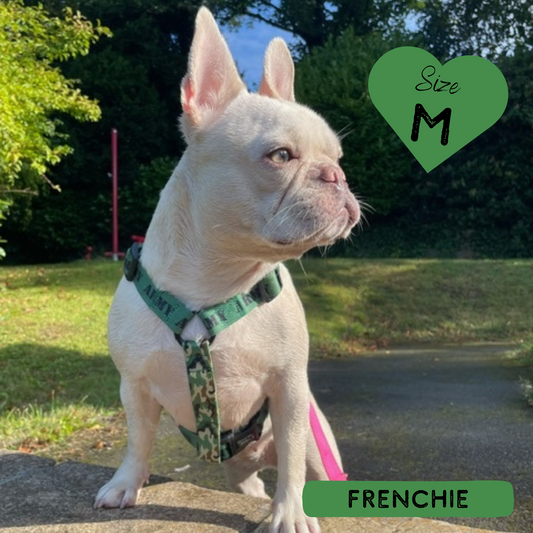 Dog Strap Harness - Supaw Trooper