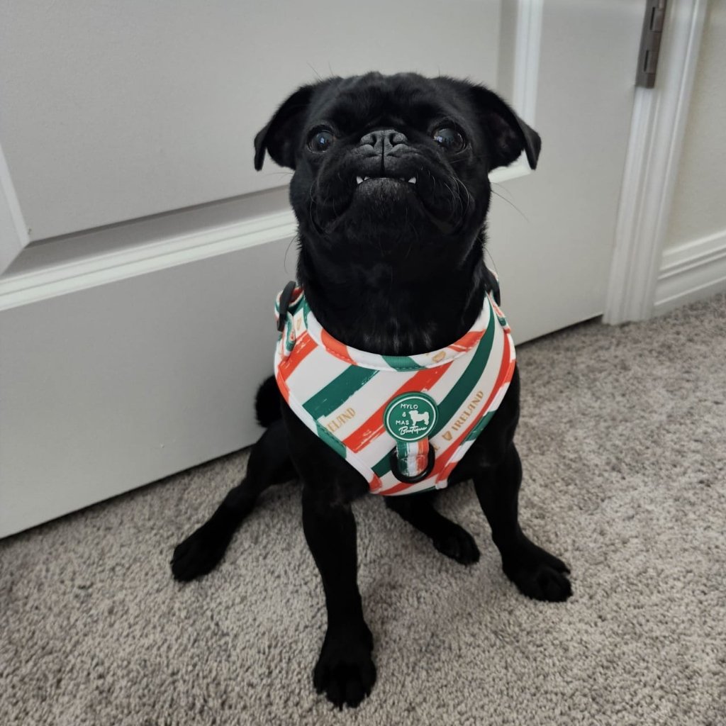 Dog Adjustable Harness - Legends of Éire