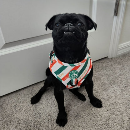 Dog Adjustable Harness - Legends of Éire