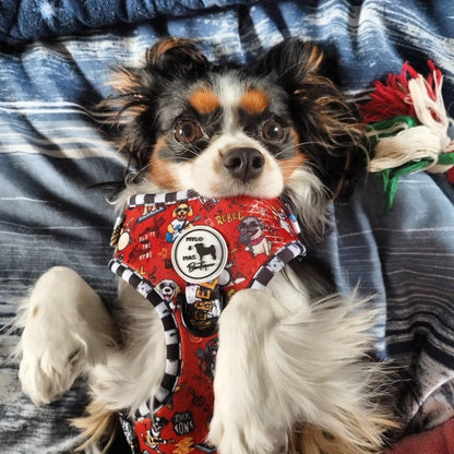 Small dog wearing a colorful harness on a blue plaid blanket