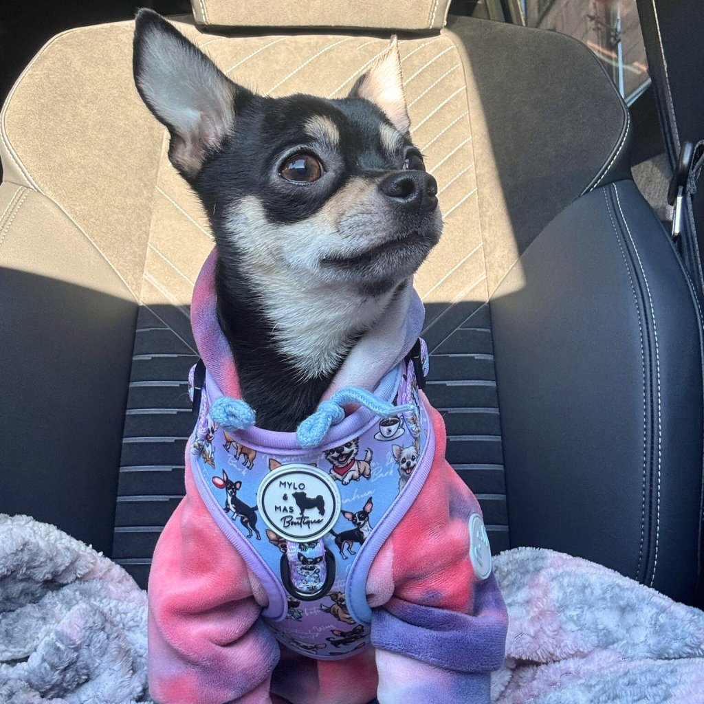Dog Adjustable Harness - Oh My Chihuahua!