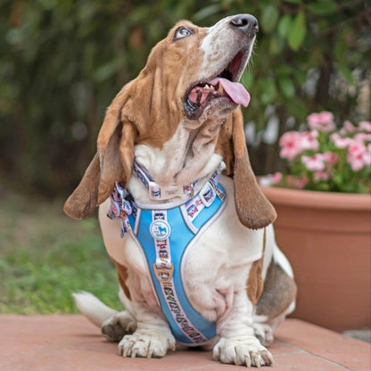 Mighty Hounds™ Dog Harness - Hippie Van Life