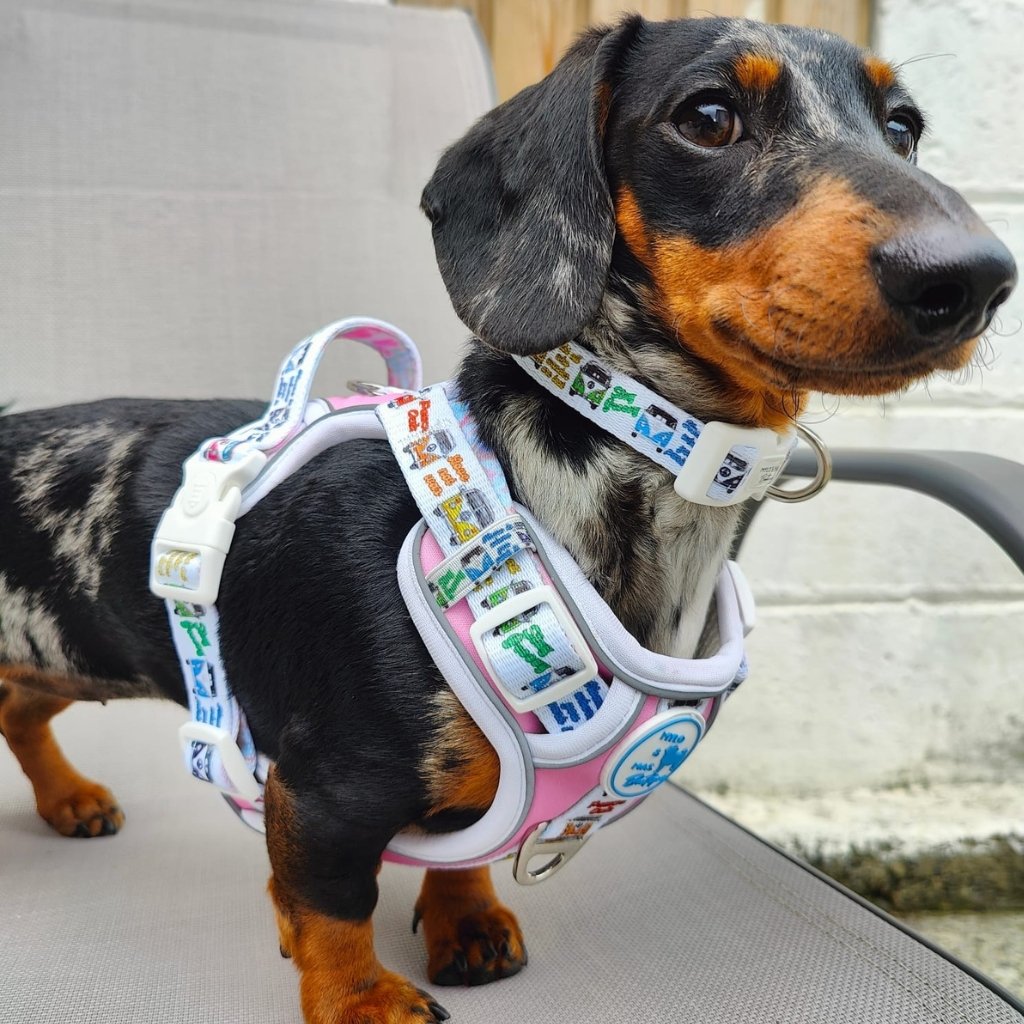 Mighty Hounds™ Dog Harness - Hippie Van Life