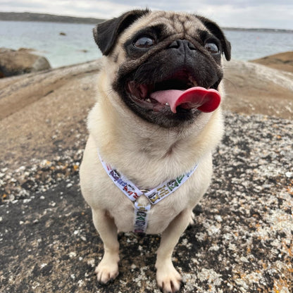 Dog Strap Harness - Hippie Van Life