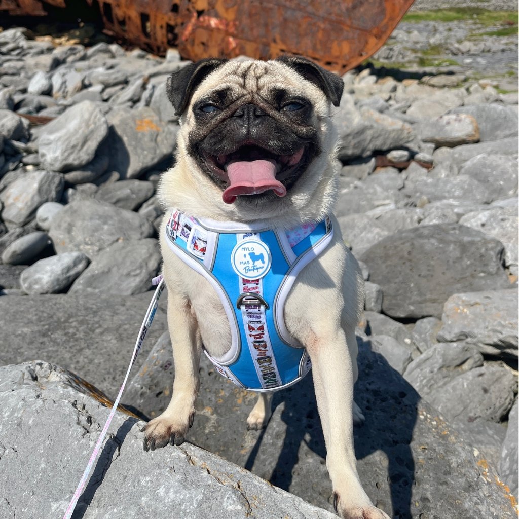 Mighty Hounds™ Dog Harness - Hippie Van Life