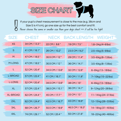 Dog size chart with measurements for chest, neck, back length, and weight.