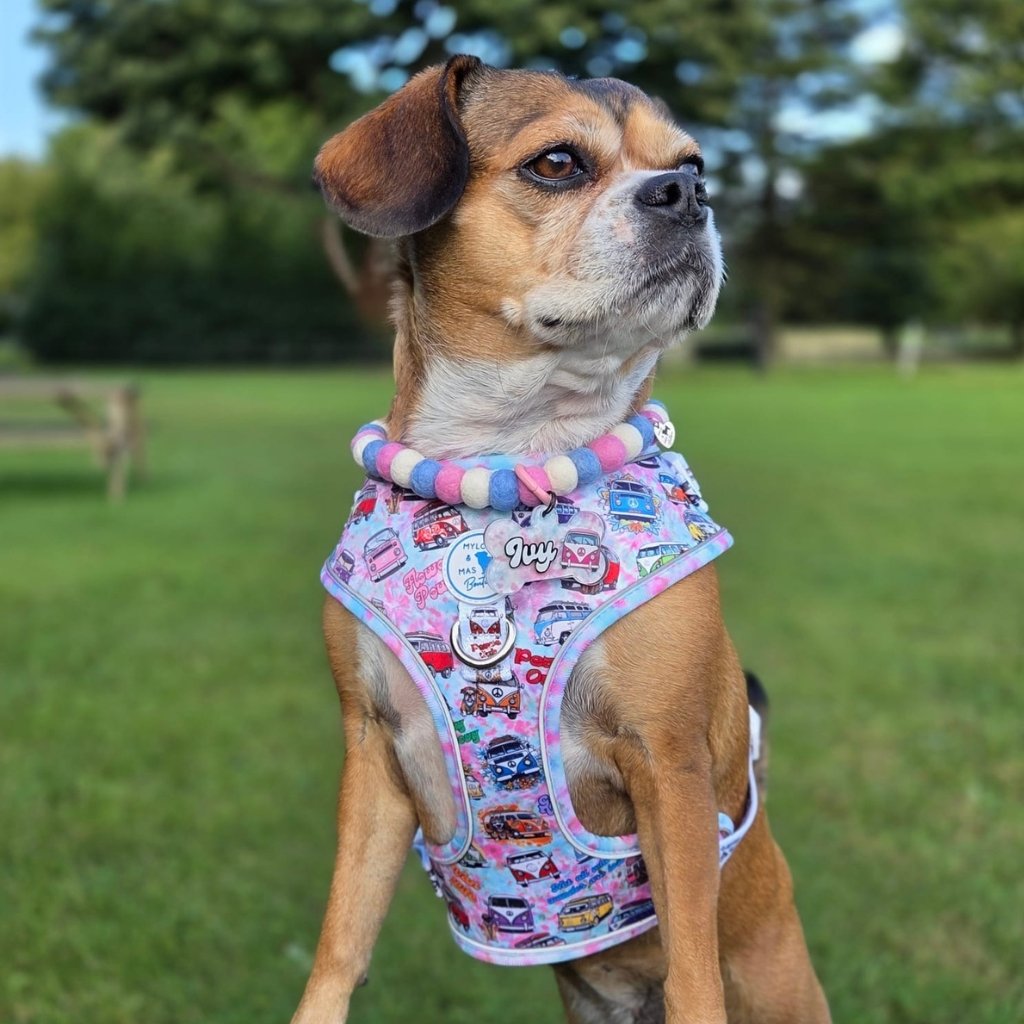 Dog Adjustable Harness - Hippie Van Life