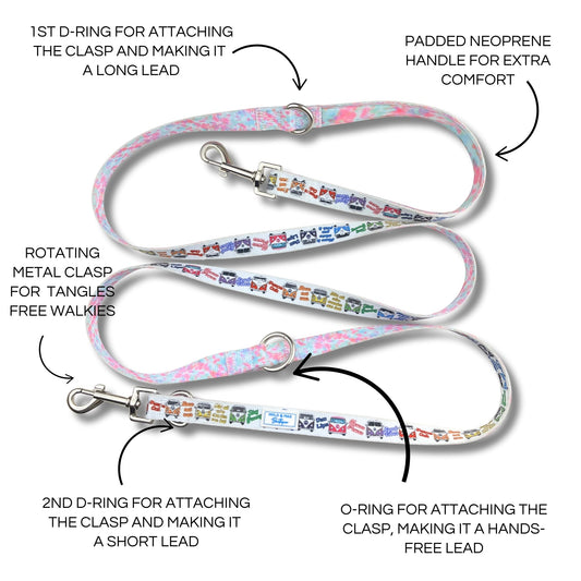 Multifunctional Dog Lead - Hippie Van Life