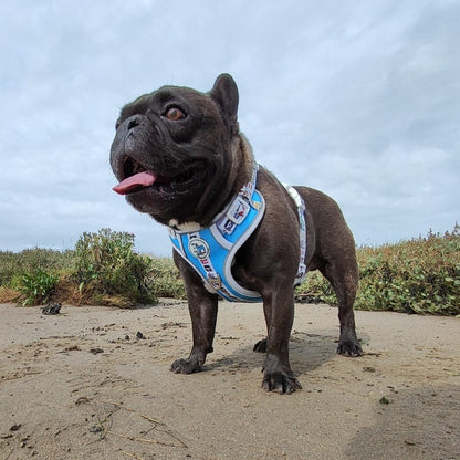 Mighty Hounds™ Dog Harness - Hippie Van Life