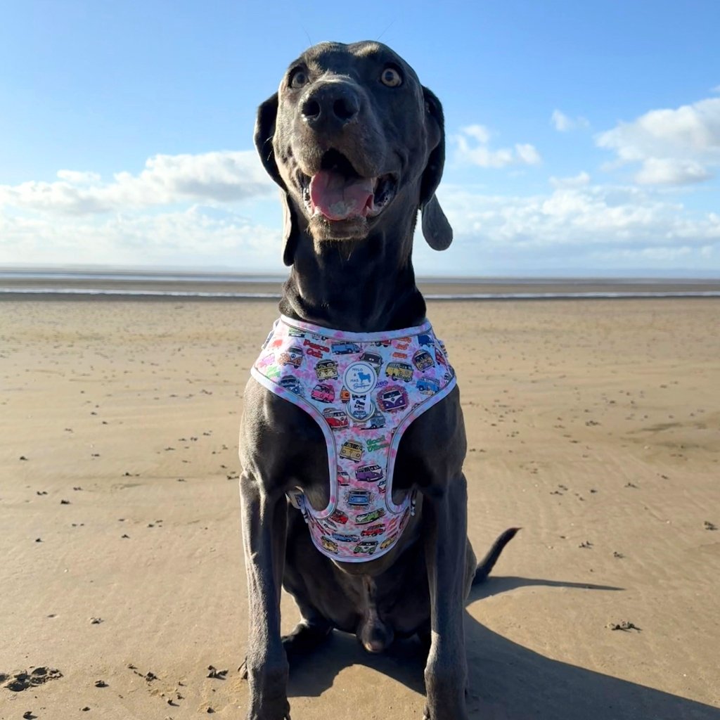 Dog Adjustable Harness - Hippie Van Life