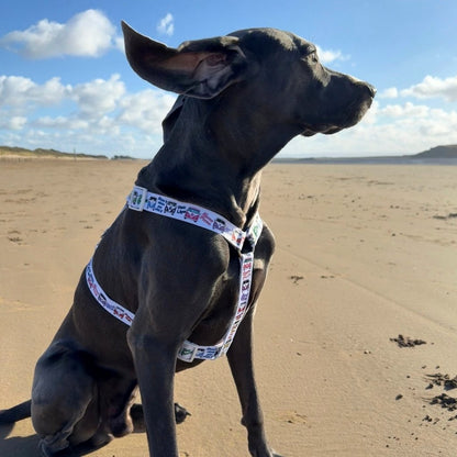 Dog Strap Harness - Hippie Van Life