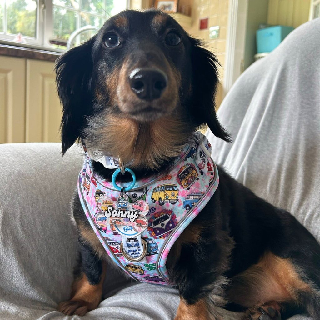 Dog Resin ID Tag - Hippie Van Life (Harness Match)