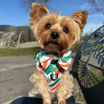 Dog Adjustable Harness - Legends of Éire